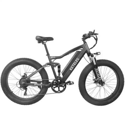 48V 250W মোটর ইলেকট্রিক মাউন্টেন বাইক 10AH লিথিয়াম ব্যাটারি এবং ইন্টিগ্রেটেড ব্যাটারি সহ