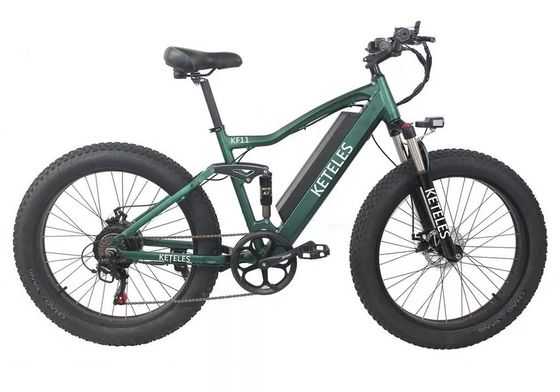 48V 250W মোটর ইলেকট্রিক মাউন্টেন বাইক 10AH লিথিয়াম ব্যাটারি এবং ইন্টিগ্রেটেড ব্যাটারি সহ