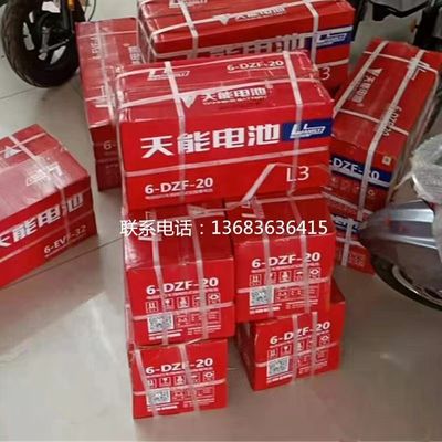 12V20.2Ah 6-DZF-20.2 ড্রাই চার্জড সিলড জিইএল লিড এসিড ব্যাটারি বৈদ্যুতিক স্কেটবোর্ডের জন্য